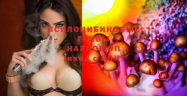твердый Аркадак